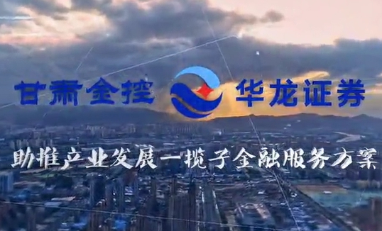 同乐城·（中国）手机网页版助推产业发展一揽子金融服务方案汇报片